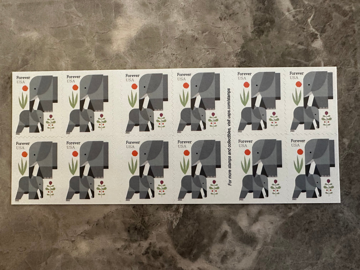 Cartoon Elephants Star Self-Stick