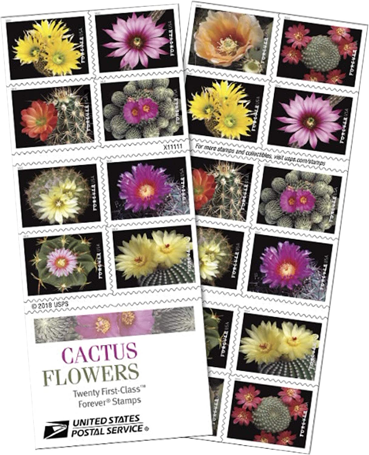 Cactus Flowers Self-Stick