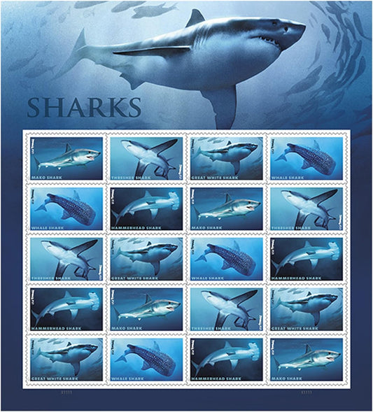 Sharks Ecotourism Conservation Preservation Ecology Nature Self-Stick